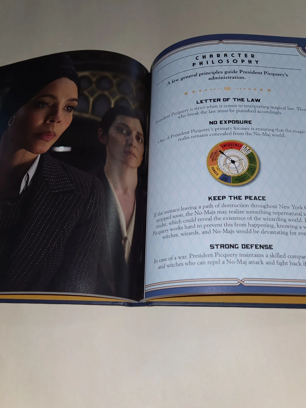 Scholastic Fantastic Beasts Character Guide - Navy Blue Cover